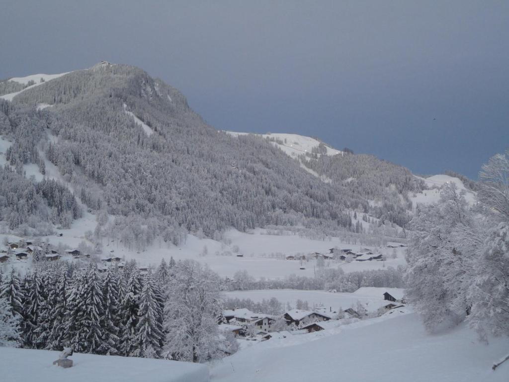 Genner Apartment Kitzbuhel Room photo